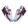 Air Max 90 "Photon Dust/Varsity Red"